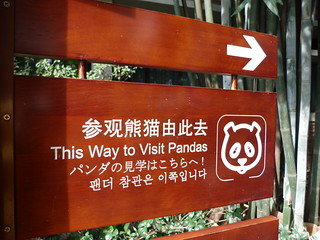 Cartel del Centro de Conservación y Cría de Osos Panda de Chengdú (China)