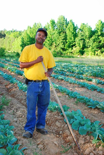 Farmer Reggie Stevenson standing in his field