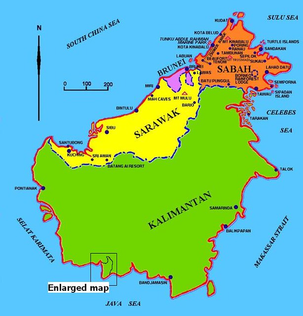 BORNEO-KALIMANTAN CENTRAL - PARQUE NACIONAL TANJUNG PUTING - UNA AVENTURA LLAMADA INDONESIA (2)
