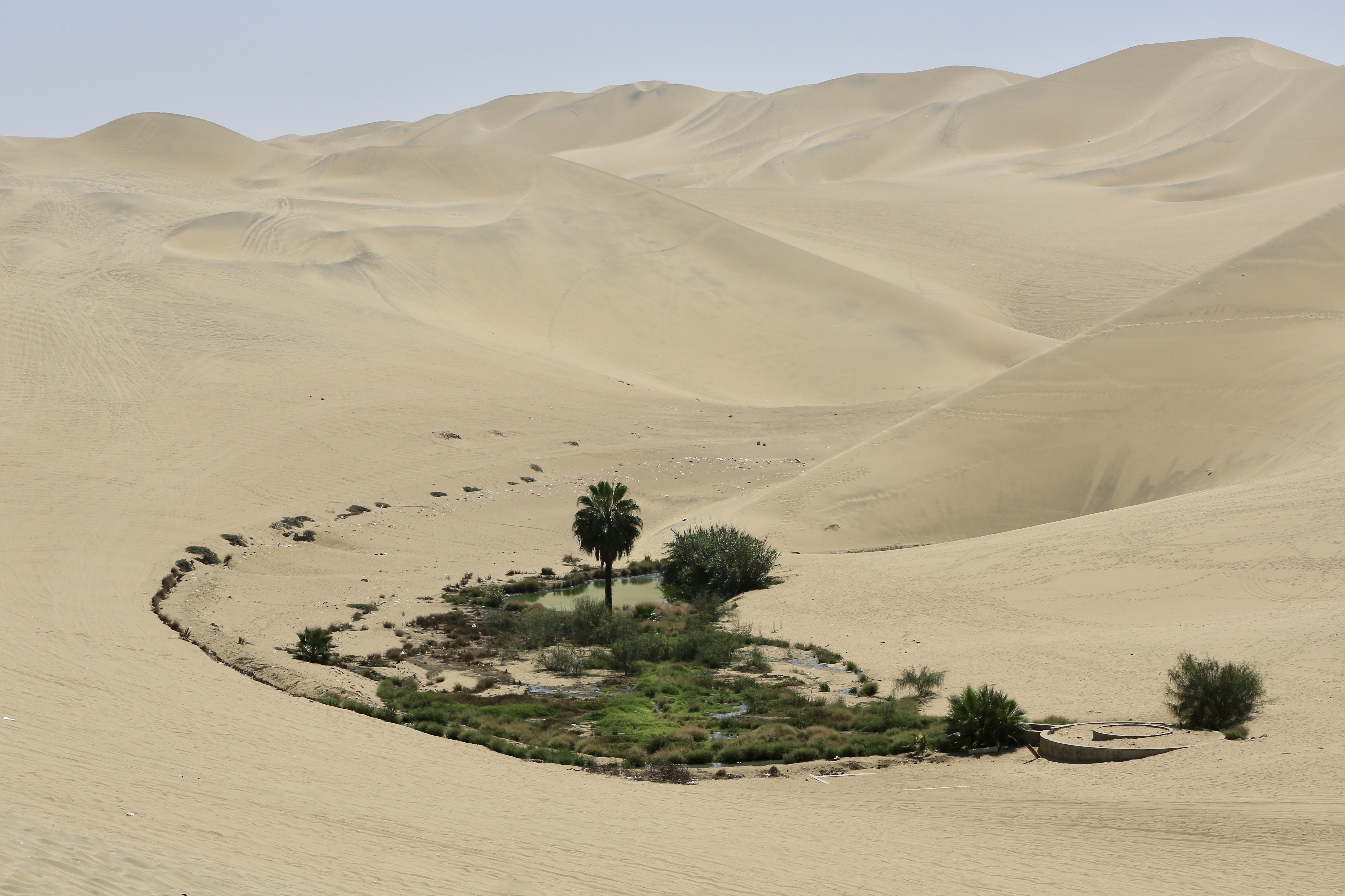 Саудовская аравия песок. Барханы Оазис Саудовская Аравия. Оазис Эль-Хаса. Пустыня сахара Оазис. Оазис в Аравийской пустыне.