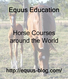 BHS Career Pathways offer some Great Horse Careers | Equus Education