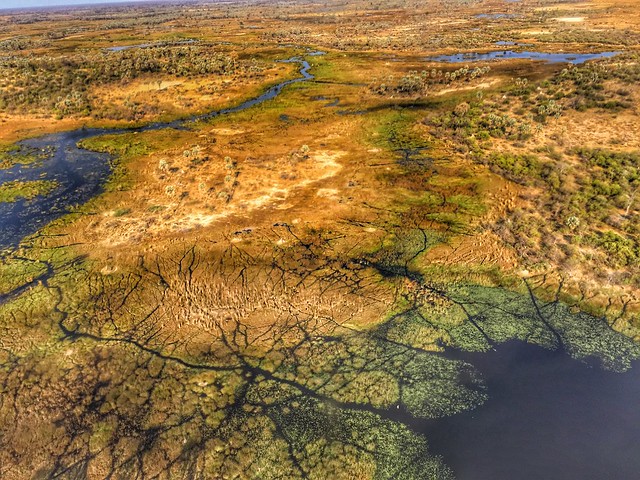 El Delta del Okavango a vista de avioneta (Botswana)