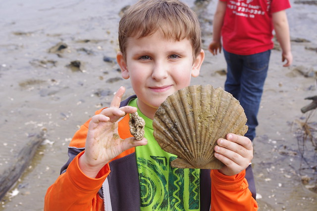 Fall Fossil Frenzy at York River State Park, Virginia