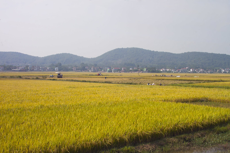 Hình ảnh làng gốm Phù Lãng Bắc Ninh