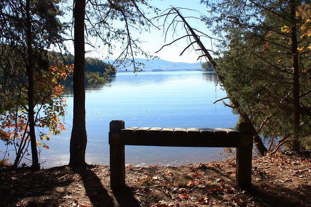 Take in the scenery from this bench at Smith Mountain Lake State Park, Virginia
