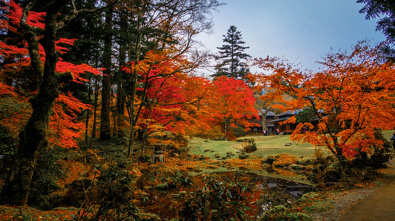 Okkunikko- Thuộc vùng Nikko gần Tokyo. Ảnh: Mike Reddy – Tokyo Onuma Park 
