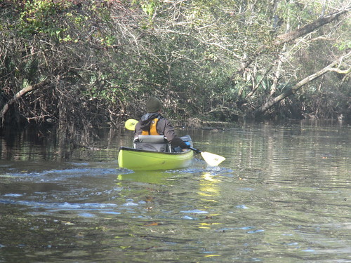 Paddler on the bayou.