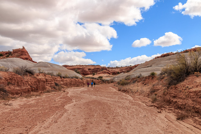 Nautilus Wash, Utah (1 von 1)