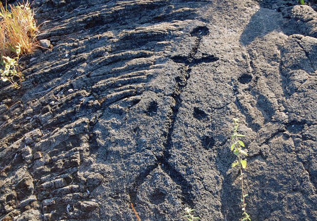 lava etchings hawaiian petroglyphs