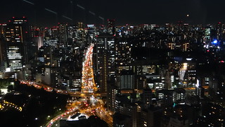 JAPÓN EN 15 DIAS, en viaje economico, viendo lo maximo. - Blogs de Japon - Tokio - Mercado, Ginza, Palacio Imperial, Estacion central, Shiodome, Torre de T (17)