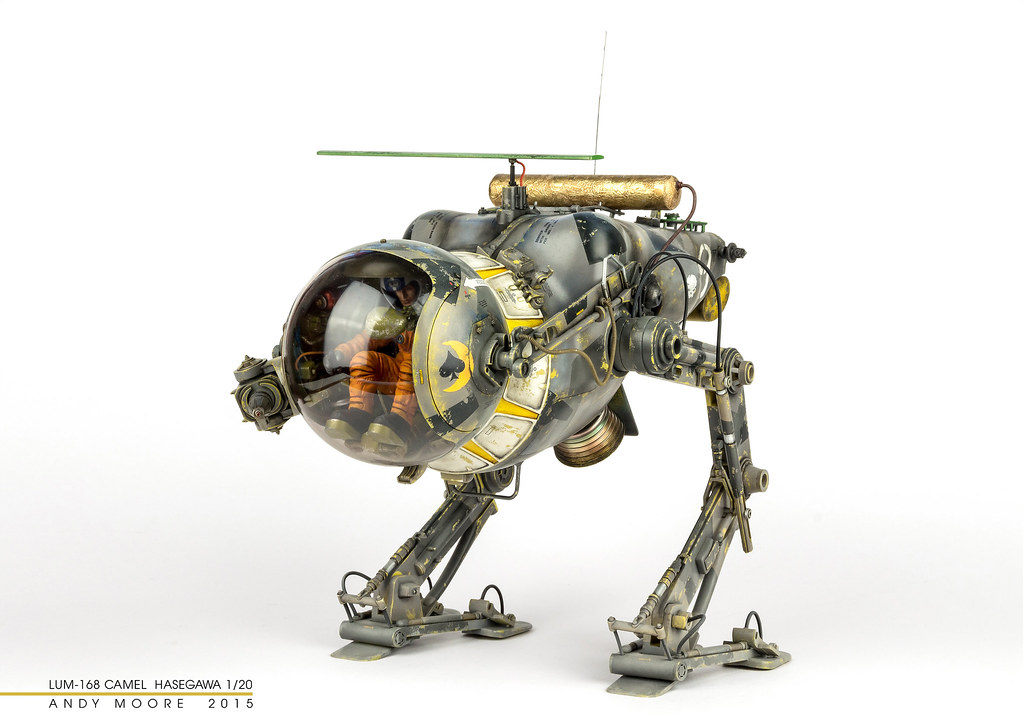Hasegawa Ma.K. Camel - Ready for Inspection - SF & RealSpace
