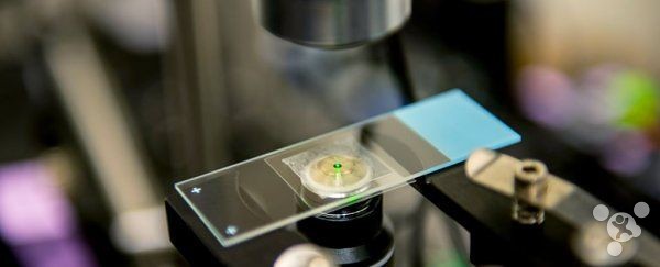 For the first time ever: scientists use laser-cooled liquid
