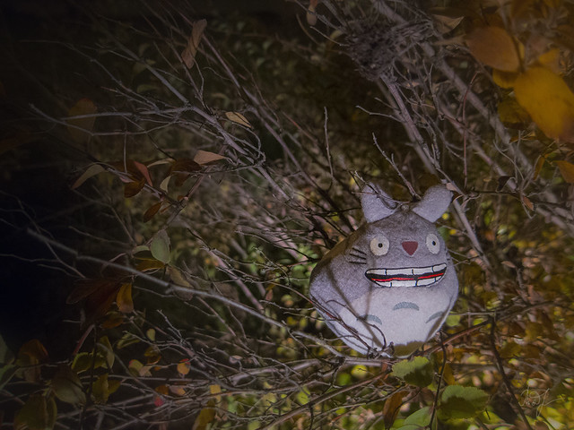 Day #268: totoro is listening the Silence of the Autumn