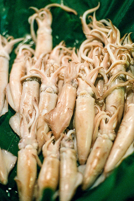 © 2016. Fresh squids in 台北市公有成功市場 in Da'an District. Tuesday, Sept. 6, 2016. CineStill 800T +2, Canon EOS A2.