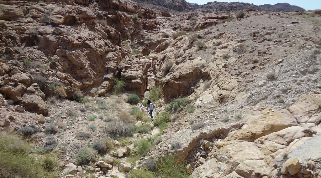 Looking for water samples in the Jordan Valley