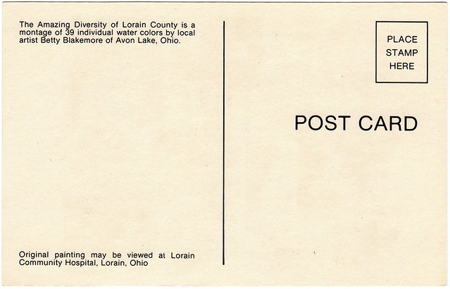 Back of The Amazing Diversity of Lorain County (1981)
