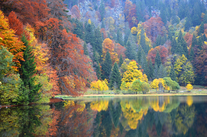 Autumn, Feldsee, Black Forest, Germany