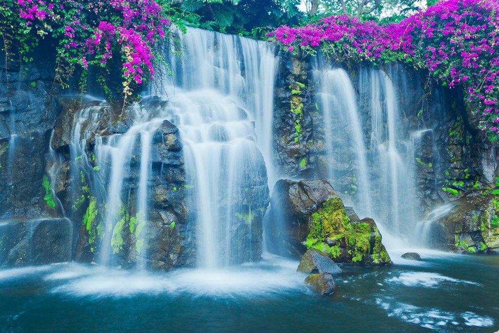 cascadas de agua natural con flores en el rio | J.C.Dorigo | Flickr