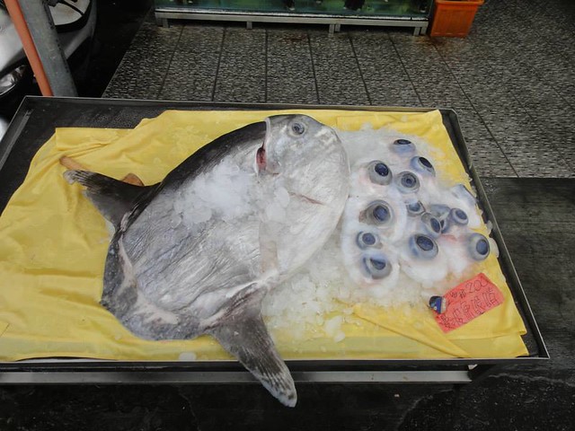 照片中的曼波魚雖然大隻，但其實還是未成年的小朋友。曼波魚在漁民心中是價格好、捕撈容易的魚種，眼睛一顆售價200元（2014年時價）。拍攝者：陳宜龍，拍攝於宜蘭南方澳魚港。