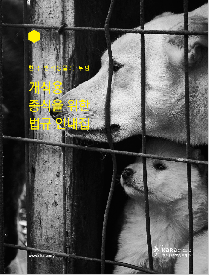 KARA Publishes Legal Information Booklet for the ending of dog meat consumption