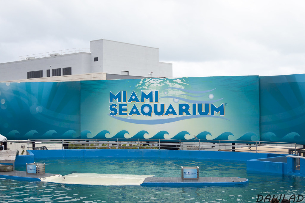 Miami Seaquarium - 3000 millas por el Deep South. Y Miami de regalo (13)