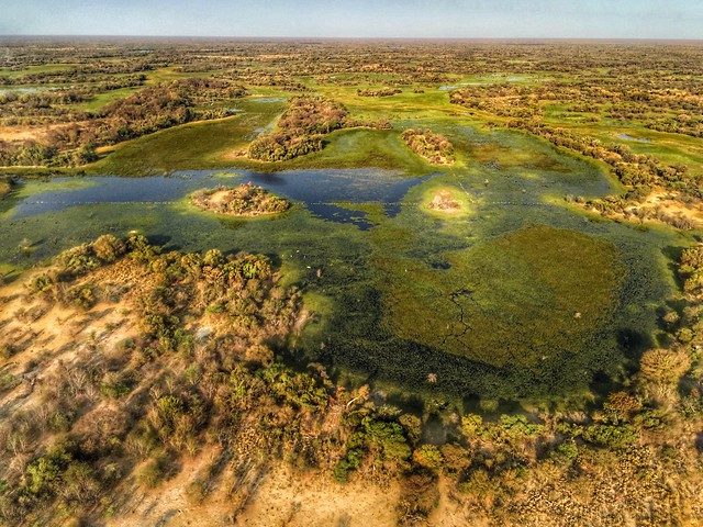 Vista aérea del Delta del Okavango (Botswana)