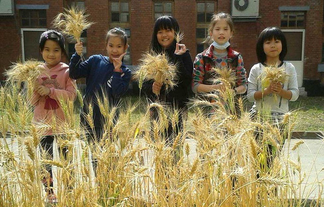 咱糧學堂計畫，發起在校園的國產雜糧復興運動。圖片來源：全國教師工會總聯合會