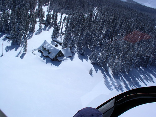 An aerial view of a house around trees