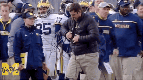 Image result for angry jim harbaugh gif