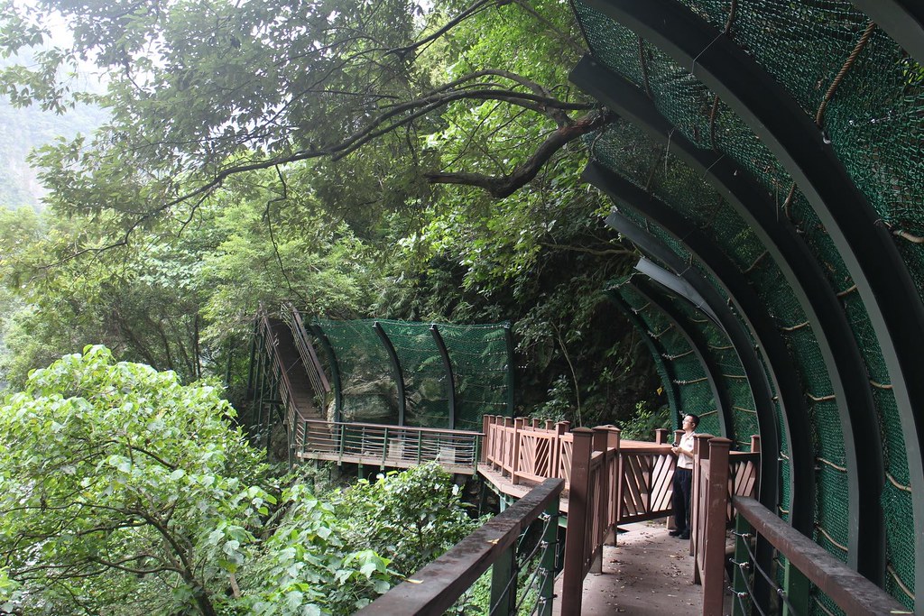 11月2日將正式開放的小錐麓步道，圍網擋住樹林，是保護生態系還是誰？（圖片來源：太魯閣國家公園臉書粉絲頁）