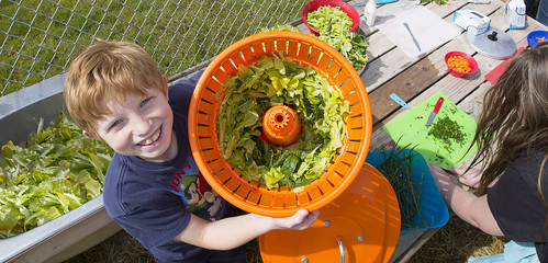 A Colorado elementary school student shows off fresh lettuce grown by students in his school’s garden. 