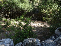 Les ruines de la bergerie de l'Ancinu sur le replat en bordure du ruisseau
