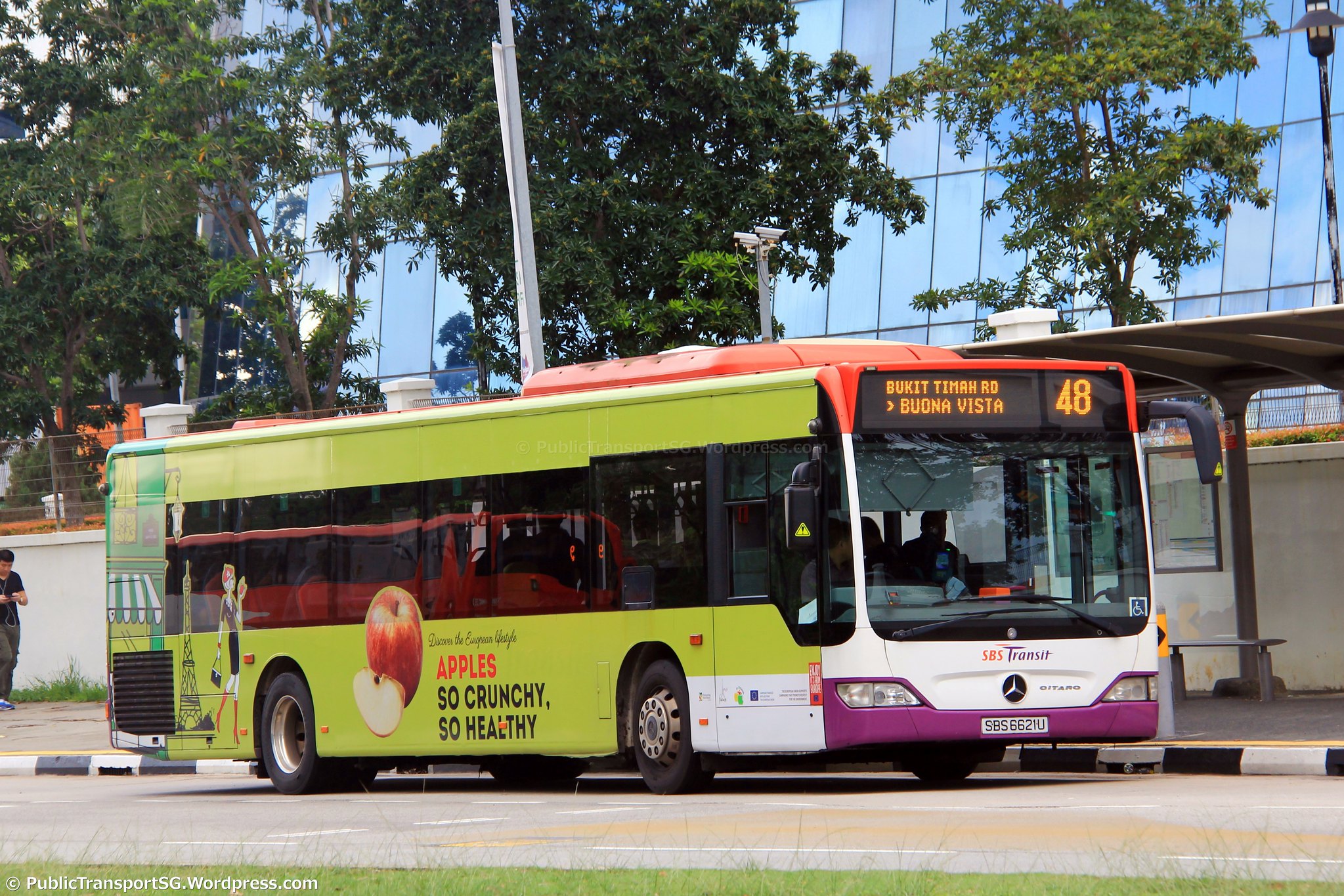 bus transportation services