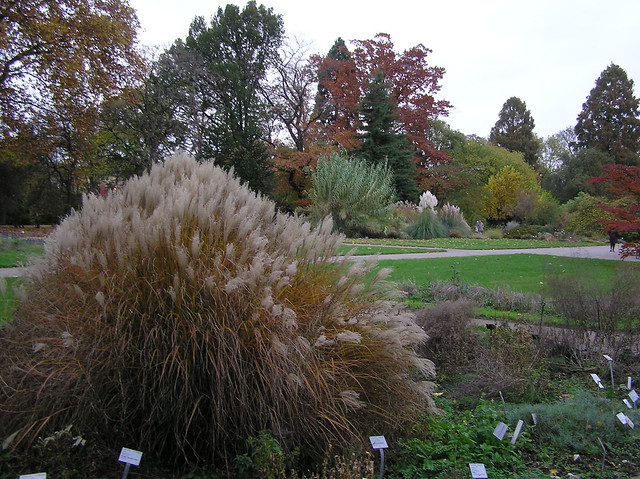 Köln Botanical Garden