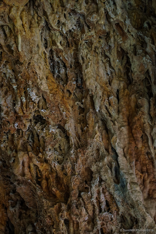 Detalle del interior de la cueva de la Font del Foradot