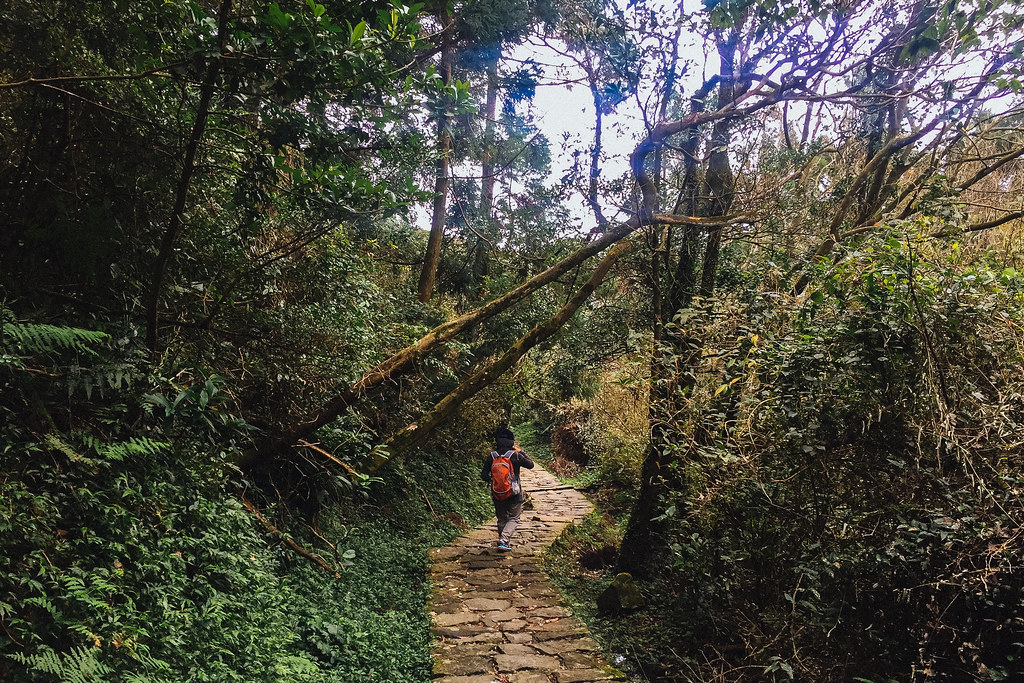 Yangmingshan is one of the best areas to stay in Taipei for those who want to be in touch with nature