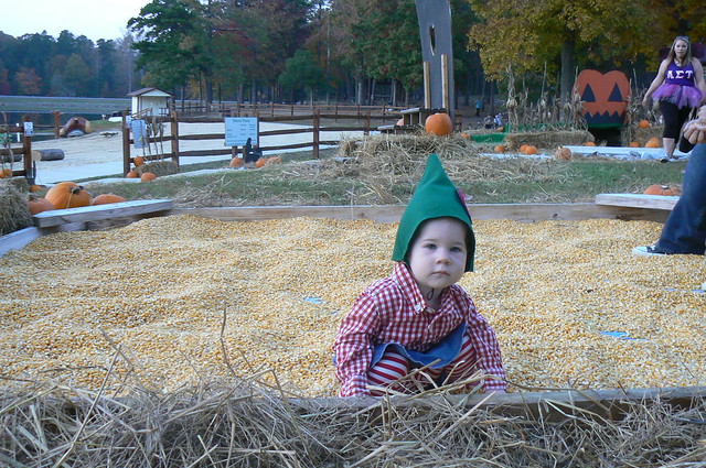 Corn kernal box fun at Twin Lakes State Park's Halloween Festival in Central Virginia