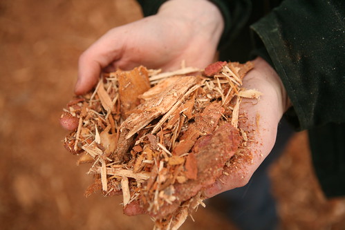 A $39.6 million grant from USDA’s National Institute of Food and Agriculture is helping turn forest byproducts into biofuel.  (Courtesy of NARA)