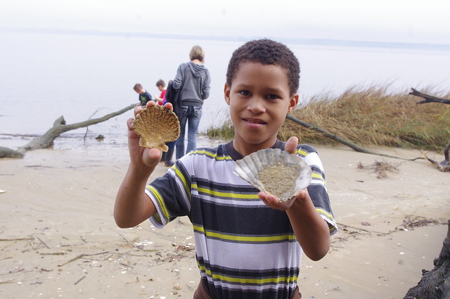 Fossil Frenzy is a park program that is fun for the whole family, school groups, and more at York River State Park in Virginia