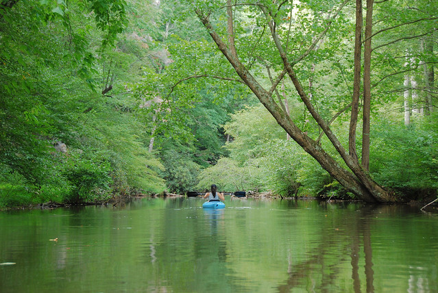 Paddle your kayak or canoe under the canopy of trees at Fairy Stone State Park, Va