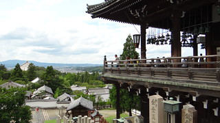 Kyoto - Nara - Osaka - Kyoto - JAPÓN EN 15 DIAS, en viaje economico, viendo lo maximo. (7)