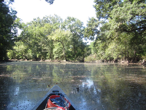 Looking up Bayou Fountain (right) and Bayou Manchac (left)