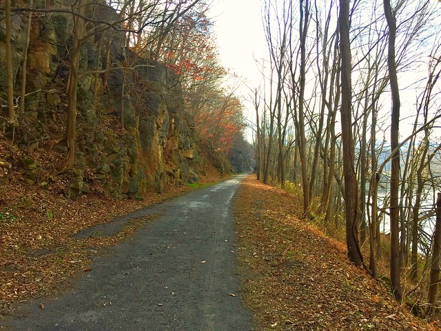 The hard packed trail makes this park perfect for bike or horseback riding at New River Trail State Park, Virginia