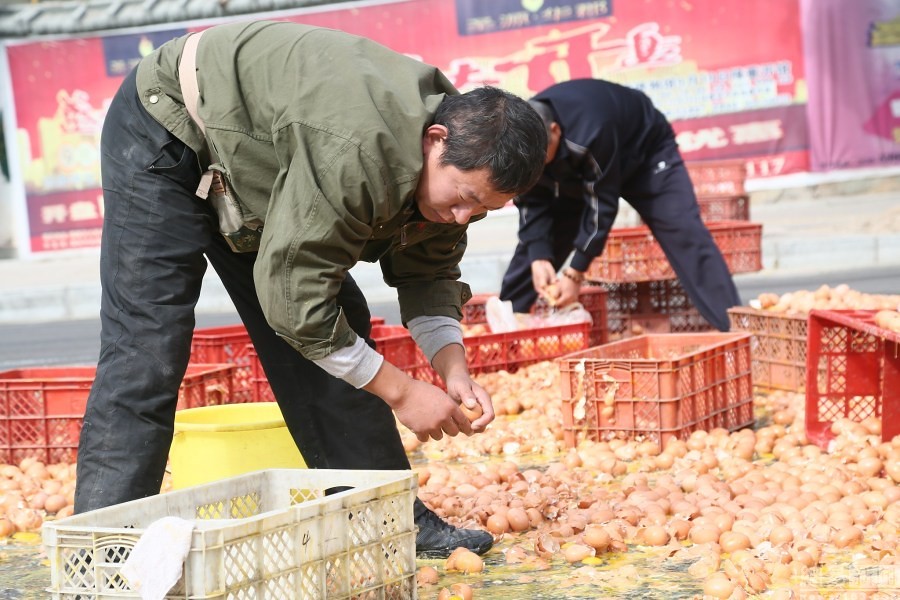 Shandong truck turn eggs scattered all help pick