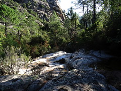 Le ruisseau affluent du ruisseau de Ranella et les dalles de granite