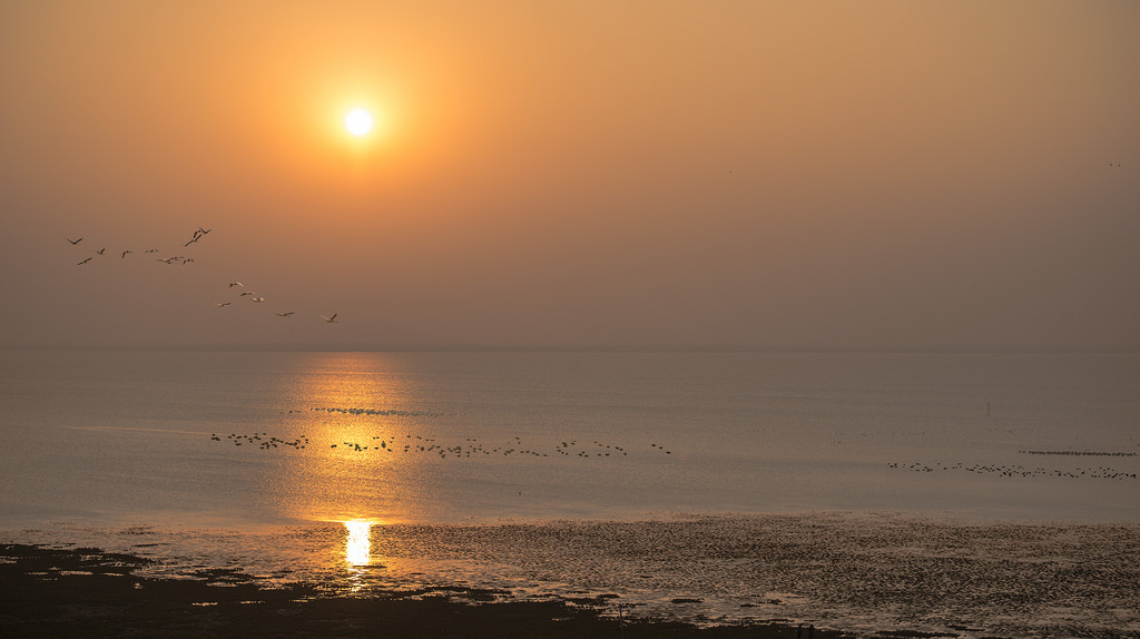 鄱陽湖也是許多候鳥的重要棲地。圖片來源：liuzr99(CC BY-SA 2.0)。