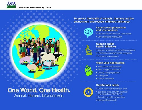 One World. One Health. Animal. Human. Environment infographic