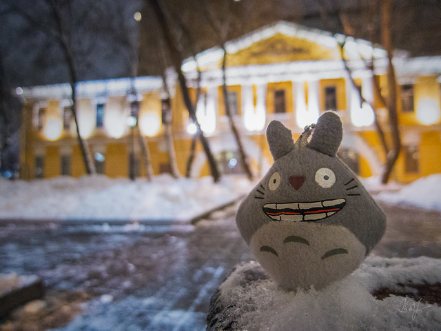 Day #318: totoro walks in the center of Moscow