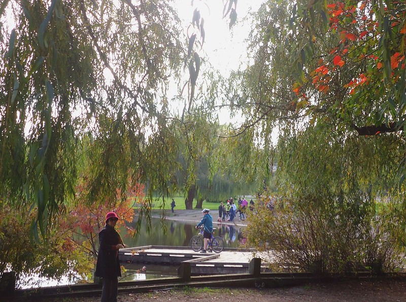 温哥华鳟鱼湖的秋景
