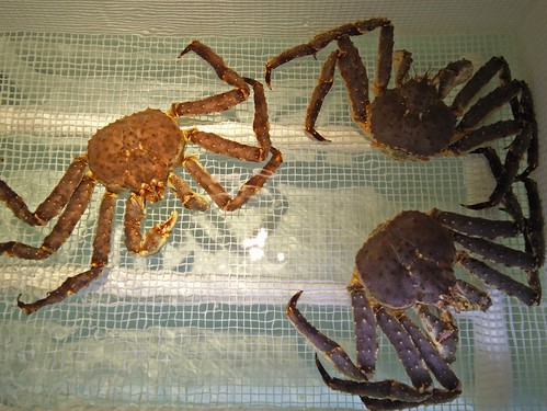 Alaskan King Crabs